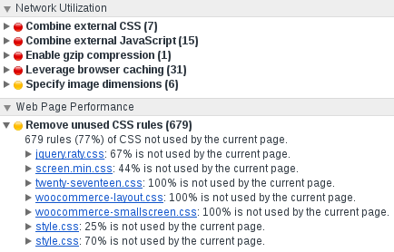 Screenshot Chrome Audits Unused CSS