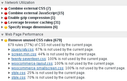 Screenshot Chrome Audits Unused CSS