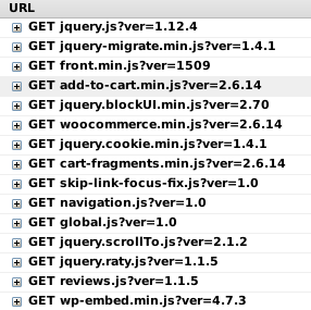 Screenshot Firebug: Geladene JavaScript-Dateien