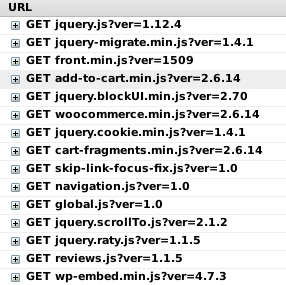Screenshot Firebug: Geladene JavaScript-Dateien