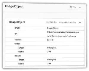 Screenshot ImageObject im Rich Snippets Testing Tool