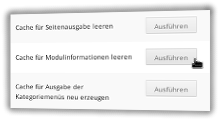 Klick auf Ausführen bei Cache für Modulinformationen leeren