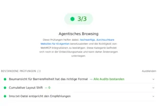 PageSpeed Insights, neue Kategorie „Agentisches Browsing“ (3/3 bestanden): Baumansicht für Barrierefreiheit hat das richtige Format, Cumulative Layout Shift 0, llms.txt-Datei entspricht den Empfehlungen.