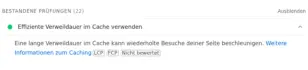 Bestandene PageSpeed-Insights-Prüfung „Effiziente Verweildauer im Cache verwenden“: lange Cache-Gültigkeit für statische Assets wie Bilder, CSS und JavaScript.