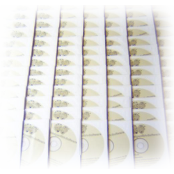 Software-CDs
