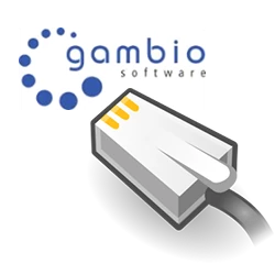 Gambio Shopsoftware mit Netzwerkstecker im Vordergrund