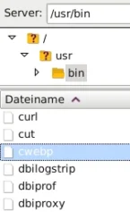 Screenshot aus FileZilla: cwebp-Datei im Verzeichnis /usr/bin auf dem Server