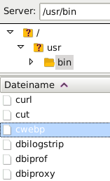 Screenshot aus FileZilla: cwebp-Datei im Verzeichnis /usr/bin auf dem Server