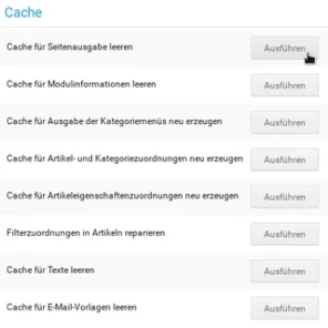 Cache Cache für Seitenausgabe leeren Cache für Modulinformationen leeren Cache für Ausgabe der Kategoriemenüs neu erzeugen Cache für Artikel- und Kategoriezuordnungen neu erzeugen Cache für Artikeleigenschaftenzuordnungen neu erzeugen Filterzuordnungen in Artikeln reparieren Cache für Texte leeren Cache für E-Mail-Vorlagen leeren