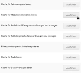 Cache für Seitenausgabe leeren Cache für Modulinformationen leeren Cache für Artikel- und Kategoriezuordnungen neu erzeugen Cache für Artikeleigenschaftenzuordnungen neu erzeugen Filterzuordnungen in Artikeln reparieren Cache für Texte leeren Cache für E-Mail-Vorlagen leeren, Mauszeiger auf Ausführen-Button in der Zeile Cache für Modulinformationen leeren