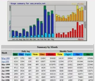 Screenshot Webalizer mit Balkendiagrammen und Statistik-Tabelle