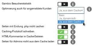 Optimierung auch für angemeldete Kunden. Auswahlfeld mit den 3 Optionen "Nein", "Ja, dynamisch", "Ja, aus dem Cache". Mauszeiger auf "Ja, aus dem Cache"