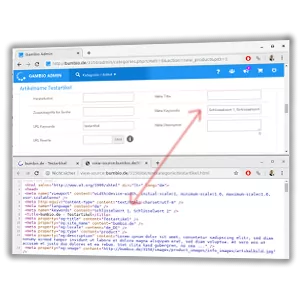 Wert des Eingabefelds für Meta Keywords im Gambio-Admin im Quelltext als