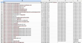 Screenshot Tabellenkalkulationsprogramm mit Spalten URL Letzte Änderung gemäß Sitemap Letzte Aktualisierung im Cache Status im Cache