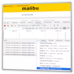 Screenshot Chrome Entwicklertools unterhalb des Malibu-Logos