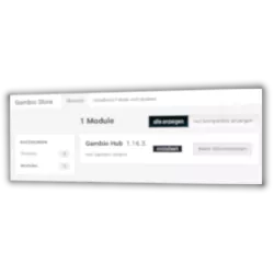Screenshot Admin-Menüpunkt Gambio Store mit einem installierten Modul