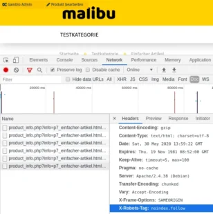 X-Robots-Tag: noindex,follow in Chrome DevTools