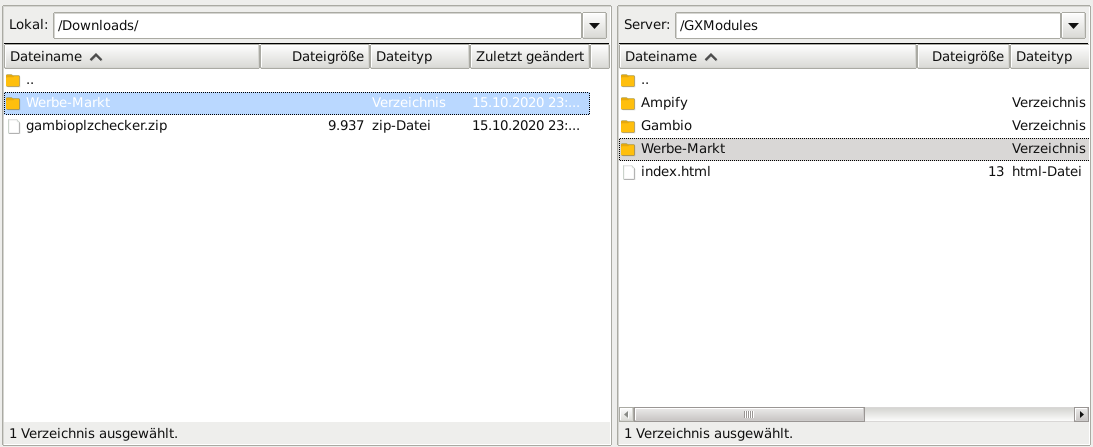 Screenshot FileZIlla: Lokal /Downloads/Werbe-Markt, Server: /GXModules/Werbe-Markt