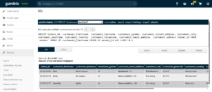 Gambio Admin: Datenbankabfrage für einige Dummy-Kundendaten