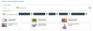 Artikel in mehreren Kategorien sortieren: Kategorie auswählen, Automatisch sortieren Buttons und Dummy-Artikel (Yogamatten)
