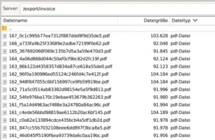 PDF-Dateien /export/invoice in FileZilla mit kryptischen Dateinamen