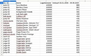 Tabelle mit Spalten Art.-Nr., Name, Lagerbestand, Verkauft 03.01.2000 - 09.09.2025
