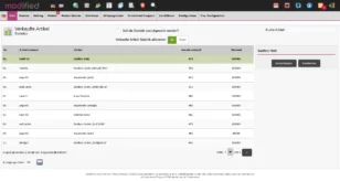 Screenshot aus dem modified Adminbereich, Statistikseite „Verkaufte Artikel“. Tabelle mit Spalten Nr., Artikelnummer, Artikel, Anzahl verkauft und Bestand. Die meistverkauften Artikel sind z. B. Sanftes Holz (976 Verkäufe), Outdoor-Jacke „Helsinki Pro“ (951), Yogamatte (pink) (940) und Outdoor-Jacke „Wald robust“ (913). Insgesamt werden 25 Artikel gelistet, angezeigt sind 10 pro Seite.