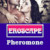 Eroscape Logo